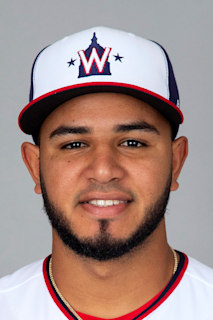 Wshjfif — 2022 MLB Catcher option 30