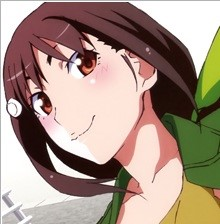 Monogatarihachkujiadultjpgjpg — 451+ Anime Waifus option 264