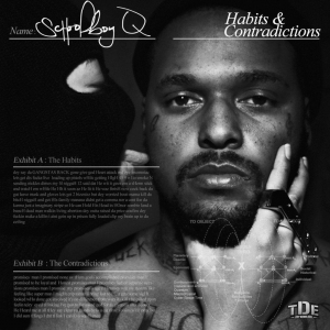 Habits And Contradictionsjpg — 535 Rap Album Tier List option 197