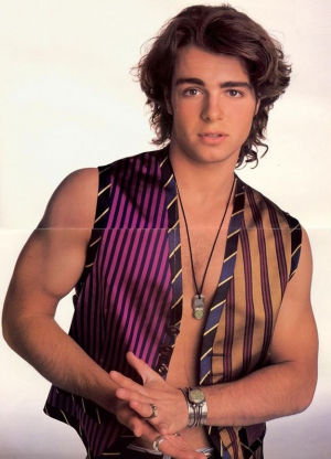 505c2465ce7ad62c1cee8e8996c6a4cdjpg — 90s Heartthrobs List option 17