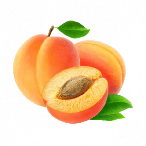 Apricotpng — A lot of Fruits option 2