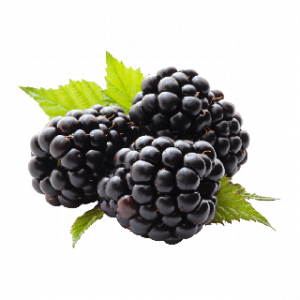 Blackberrypng — A lot of Fruits option 5