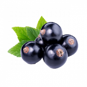 Blackcurrantpng — A lot of Fruits option 6