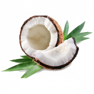 Coconutpng — A lot of Fruits option 10
