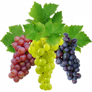 Grapespng — A lot of Fruits option 15