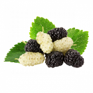 Mulberrypng — A lot of Fruits option 23