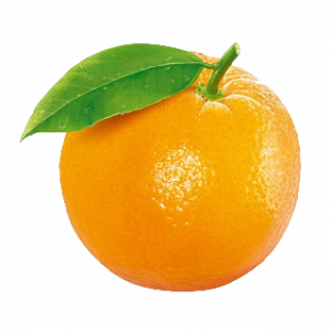 Orangepng — A lot of Fruits option 25