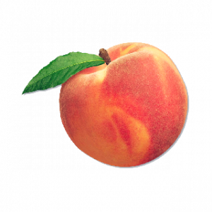 Peachpng — A lot of Fruits option 28