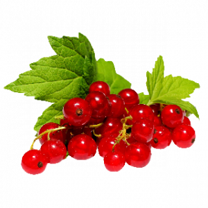 Redcurrantpng — A lot of Fruits option 36