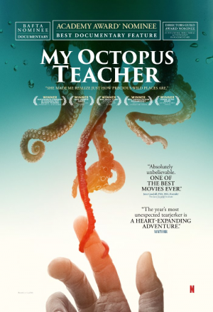 032jpeg — Academy Awards 2021 (Complete List of Nominees) option 32