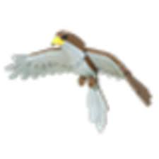 Hawkjpg — Adopt Me Legendary Pets (Last Update April 2022) option 21