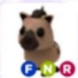 Djfsjpg — Adopt Me Pets! 2021 option 35