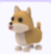 Frtgyjpg — Adopt Me Pets! 2021 option 47