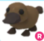 Gvjpng — Adopt Me Pets! 2021 option 51