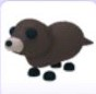 Hohjpg — Adopt Me Pets! 2021 option 57