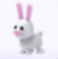 Jvghjbjpg — Adopt Me Pets! 2021 option 68