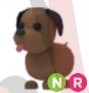 Lolojpg — Adopt Me Pets! 2021 option 76