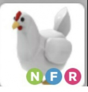 Neon Fly Ride Chicken Adopt Me Roblox Nfrjpg — Adopt Me Pets! 2021 option 80