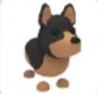 Nojpg — Adopt Me Pets! 2021 option 84