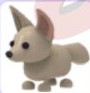 Ojpg — Adopt Me Pets! 2021 option 87