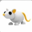 Ratajpg — Adopt Me Pets! 2021 option 97