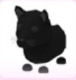 Sjnfsjpg — Adopt Me Pets! 2021 option 111