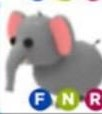 Tnbfvdjpg — Adopt Me Pets! 2021 option 121