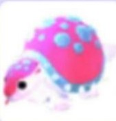 Trfvgbjfif — Adopt Me Pets! 2021 option 122