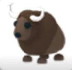 Tyvgjpg — Adopt Me Pets! 2021 option 124