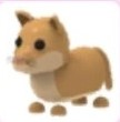 Yynxfjpg — Adopt Me Pets! 2021 option 140
