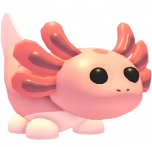 Axolotlpng — Adopt Me Pets 2021 v2 option 6