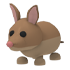 Bandicootpng — Adopt Me Pets 2021 v2 option 7