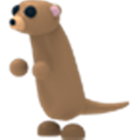 Meerkatpng — Adopt Me Pets 2021 v2 option 78