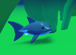 Sharkpng — Adopt Me Pets 2021 v2 option 113