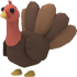 Turkeypng — Adopt Me Pets 2021 v2 option 132