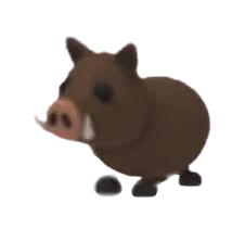 Wild Boarpng — Adopt Me Pets 2021 v2 option 135