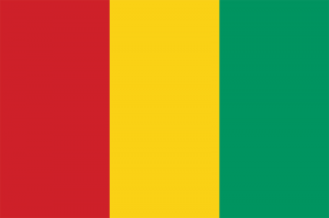 Flag Guineajpg — AFRICAN World Cup QUALIFIERS FOR QATAR 2022 option 26