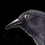 Raveniconpng — Age of Mythology All Myth Units in EE option 39