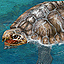 Warturtleiconpng — Age of Mythology All Myth Units in EE option 59