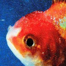 Zz1649587293the Fishjfif — ALBUM TIER LIST option 178