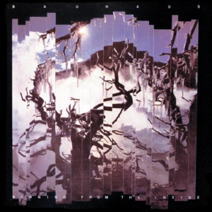 80sgoat142jpg — Albums from the 1980s option 49
