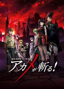Akame Ga Killjpg — All anime I have watched ranked option 5