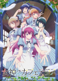 Zzzzz 1687693097the Caf Terrace And Its Goddesses — All anime I have watched ranked option 152