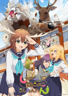 Zzzzz 1727183220my Deer Friend Nokotan — All anime I have watched ranked option 219