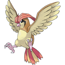 002png — All Birb Pokemon (For Real) option 2