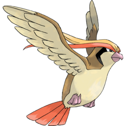 003png — All Birb Pokemon (For Real) option 3