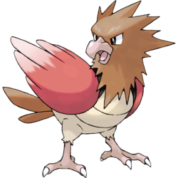 005png — All Birb Pokemon (For Real) option 5