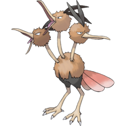 013png — All Birb Pokemon (For Real) option 13