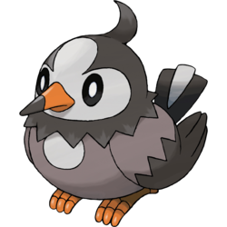 050png — All Birb Pokemon (For Real) option 50