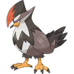 052png — All Birb Pokemon (For Real) option 52